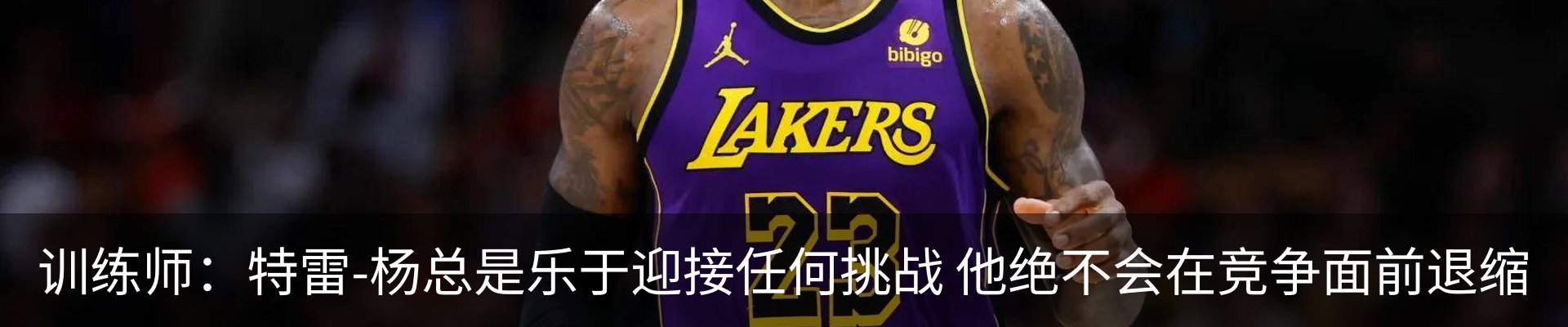 最新动态