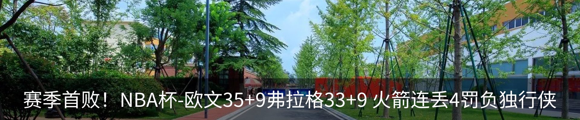 最新动态