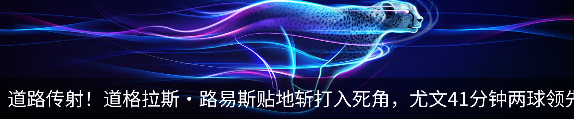 最新动态