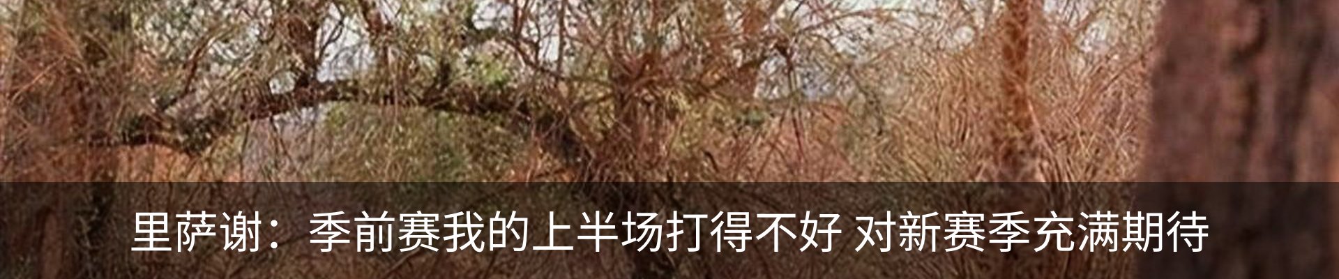 最新动态
