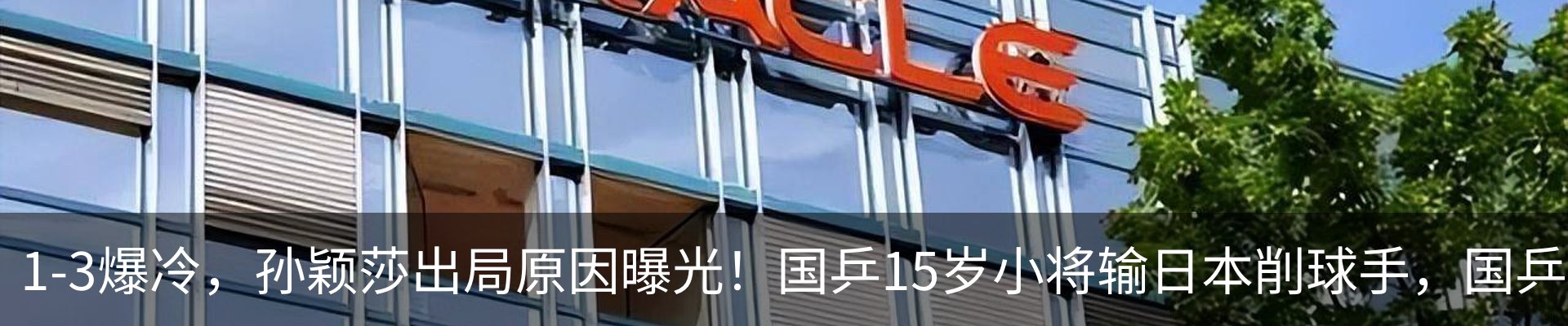 最新动态