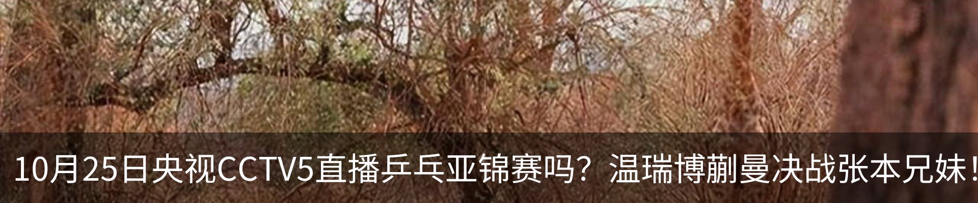 最新动态