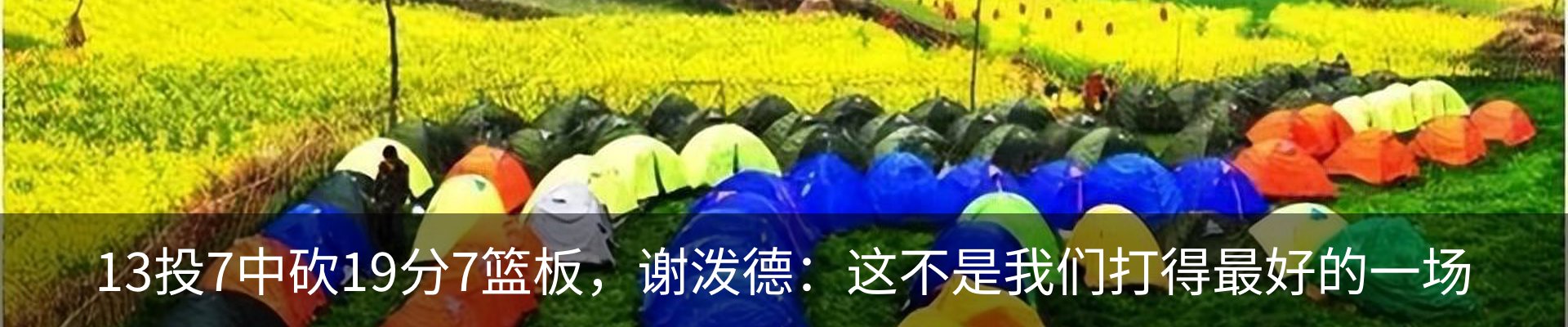 最新动态
