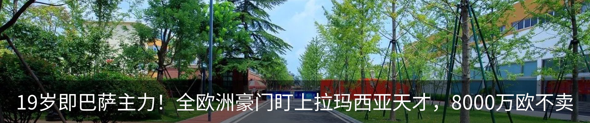 最新动态