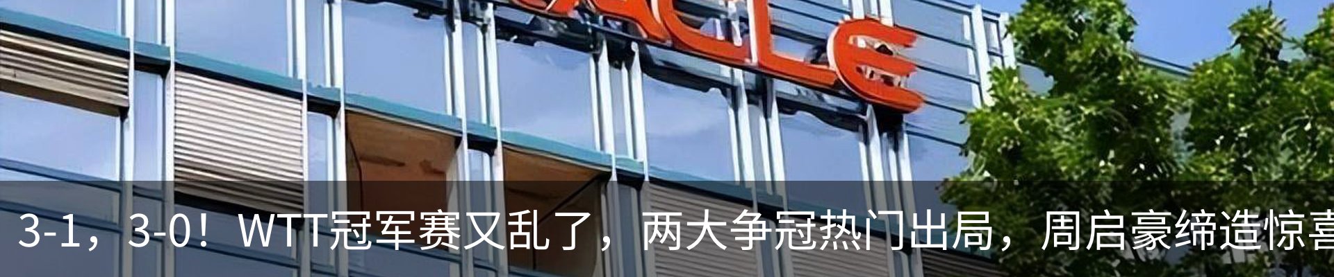 最新动态