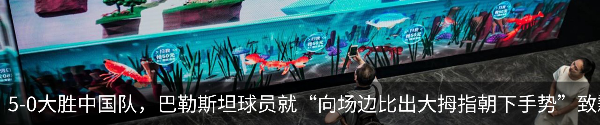 最新动态