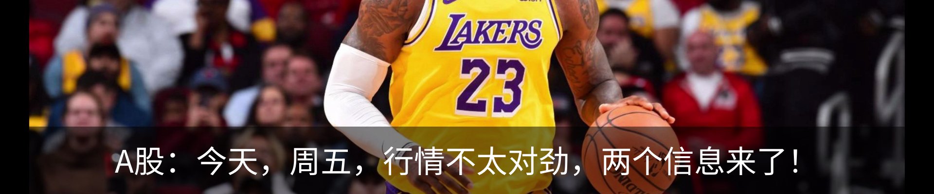 最新动态