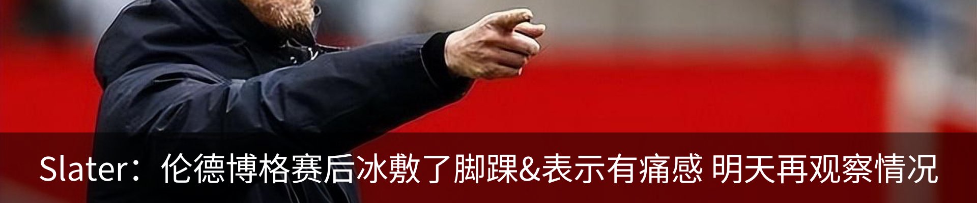 最新动态